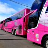 Ônibus da Viação Garcia desfilam com selo da campanha “Doe 1% Pela Vida”