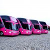 Ônibus da Viação Garcia desfilam com selo da campanha “Doe 1% Pela Vida”
